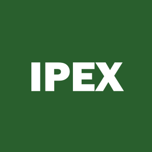 Stock IPEX logo
