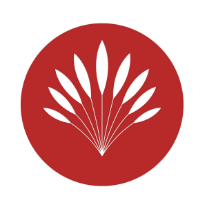 Stock ISPOW logo