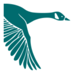 ITIC Stock Logo