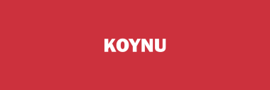 Stock KOYNU logo