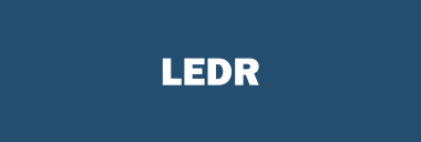 Stock LEDR logo