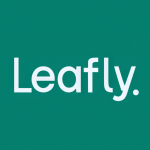 LFLY Stock Logo