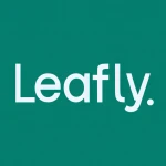 LEAFLY HOLDINGS INC