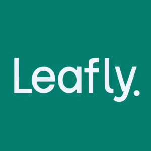Stock LFLY logo