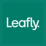 LEAFLY HOLDINGS INC WTS logo