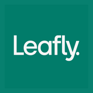 Stock LFLYW logo