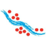 LMRXF Stock Logo