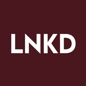 Stock LNKD logo