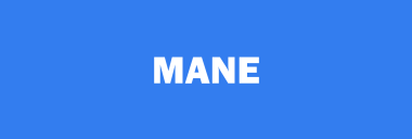 Stock MANE logo