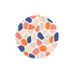 VERADERMICS INC logo