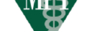 Stock MPW logo