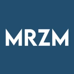 Marizyme