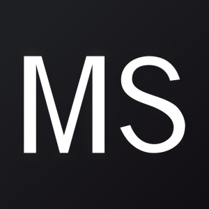 MS Stock Logo