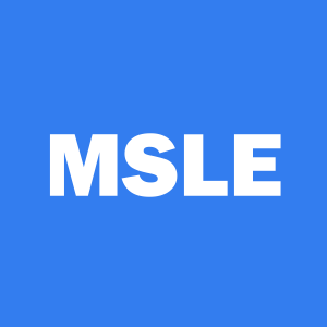 Stock MSLE logo