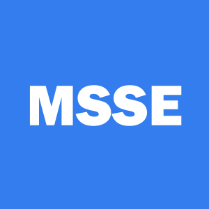 Stock MSSE logo