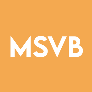Stock MSVB logo