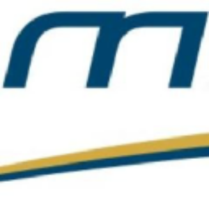 Stock MWSNF logo