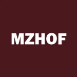 Mizuho Financial Group Inc logo