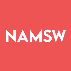 Stock NAMSW logo