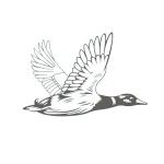 Duckhorn Portfolio Inc logo