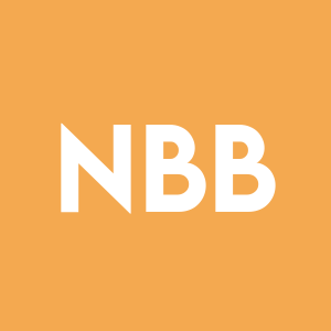 Stock NBB logo