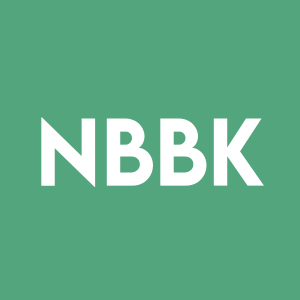 Stock NBBK logo