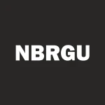 NEWBRIDGE ACQUISITION LTD logo