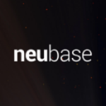 NBSE Stock Logo