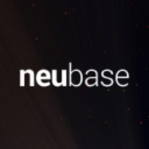 Stock NBSE logo