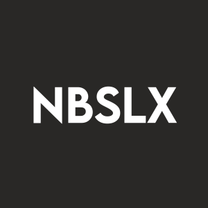 Stock NBSLX logo