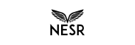 Stock NESR logo
