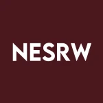 National Energy Services Reuni logo