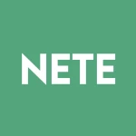 Net Element Inc. logo