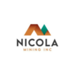 NICM Stock Logo