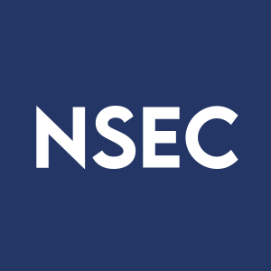 Stock NSEC logo