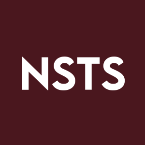 Stock NSTS logo