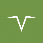 NVVE Stock Logo