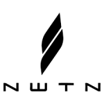 NWTN Stock Logo