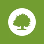 Oak Street Health Inc logo