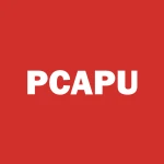 PROCAP ACQUISITION CORP logo