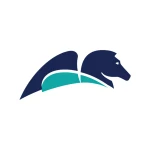 Pegasystems Inc