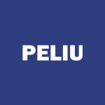 Pelican Acquisition Corp. logo