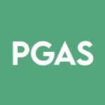 Petrogress logo