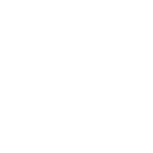 Stock PINE logo