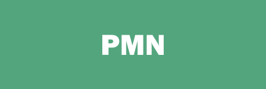 Stock PMN logo