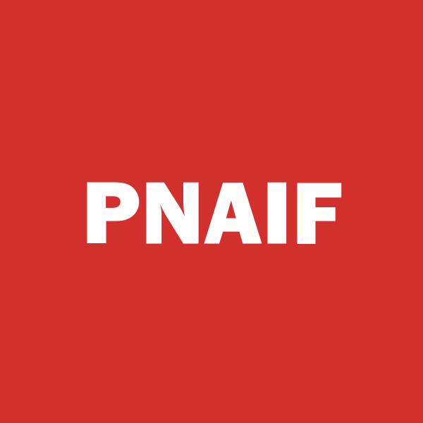Pioneer Announces Results from Annual General Meeting | PNAIF Stock News