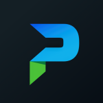 PSN Stock Logo