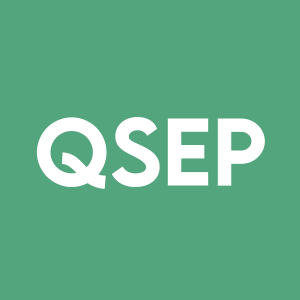 Stock QSEP logo