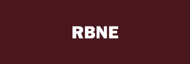 Stock RBNE logo