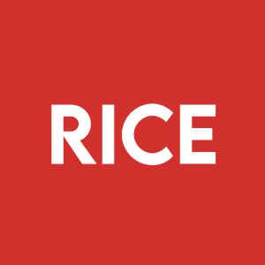 Stock RICE logo
